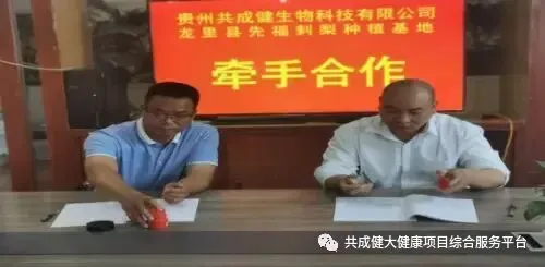 整合千亩刺梨种植基地,“贵赐宝”开创商标品牌价值新篇章
