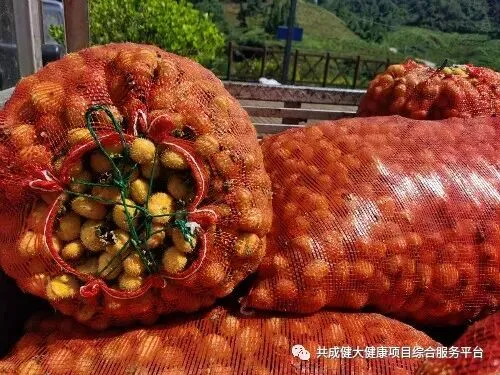 “贵赐宝”高品质生态鲜果采收季启动仪式成功举行