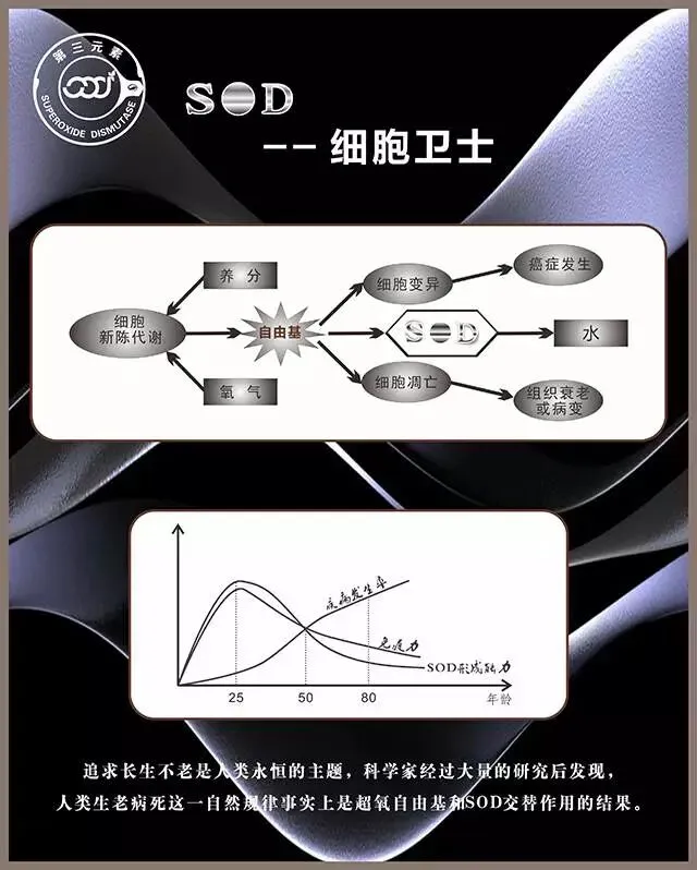 SOD与健康 |SOD的7个为什么?