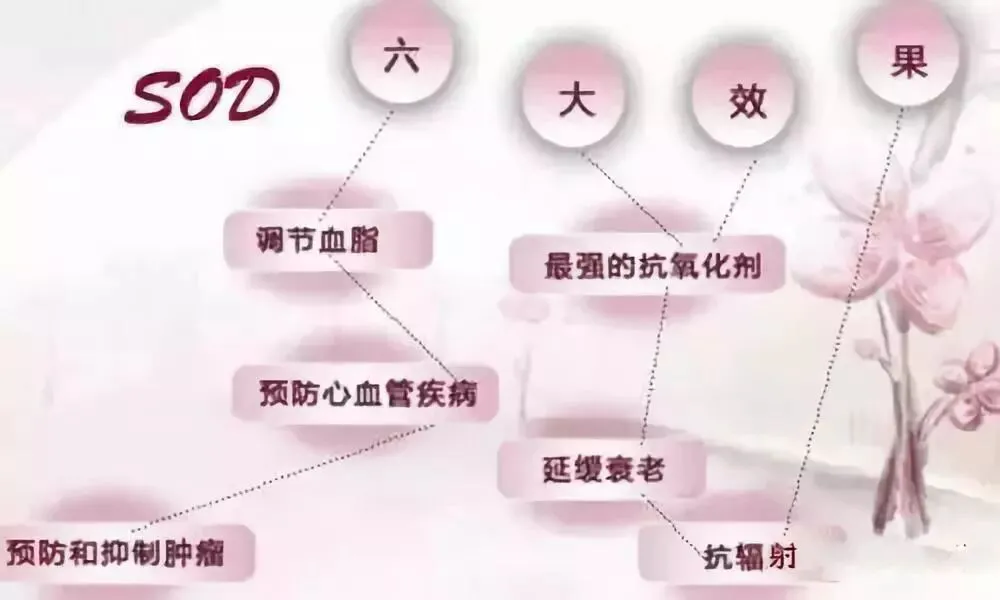 SOD与健康 |SOD的7个为什么?