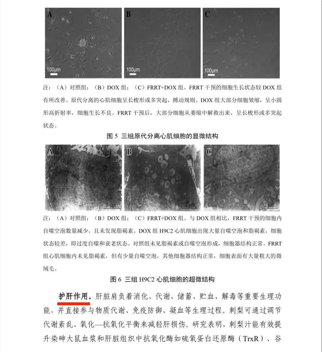 权威报告!《贵州刺梨功效研究(2021版)》