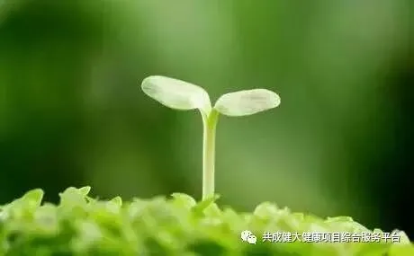 创始人故事1:我艰苦创业的引路人——阳权老师(pic1) 创始人故事1:记我艰苦创业的导师阳权老师