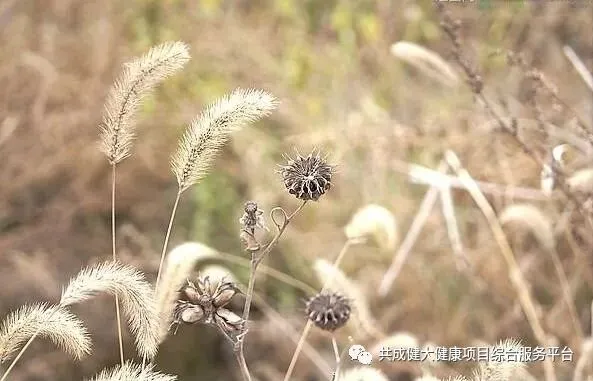 创始人故事1:我艰苦创业的引路人——阳权老师(pic7) 创始人故事1:记我艰苦创业的导师阳权老师