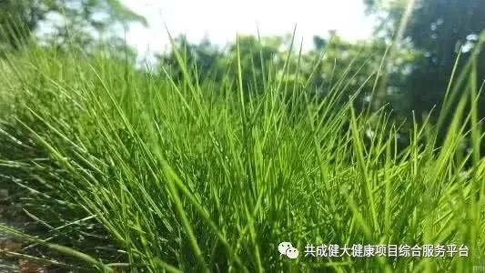 创始人故事1:我艰苦创业的引路人——阳权老师(pic5) 创始人故事1:记我艰苦创业的导师阳权老师