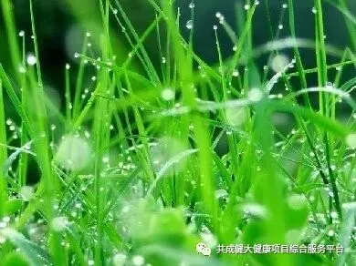 创始人故事1:我艰苦创业的引路人——阳权老师(pic4) 创始人故事1:记我艰苦创业的导师阳权老师