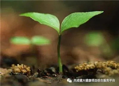 创始人故事1:我艰苦创业的引路人——阳权老师(pic3) 创始人故事1:记我艰苦创业的导师阳权老师