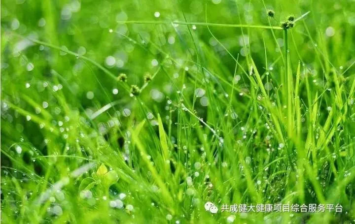 创始人故事1:我艰苦创业的引路人——阳权老师(pic13) 创始人故事1:记我艰苦创业的导师阳权老师