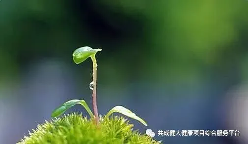 创始人故事1:我艰苦创业的引路人——阳权老师(pic8) 创始人故事1:记我艰苦创业的导师阳权老师