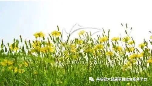 创始人故事1:我艰苦创业的引路人——阳权老师(pic14) 创始人故事1:记我艰苦创业的导师阳权老师