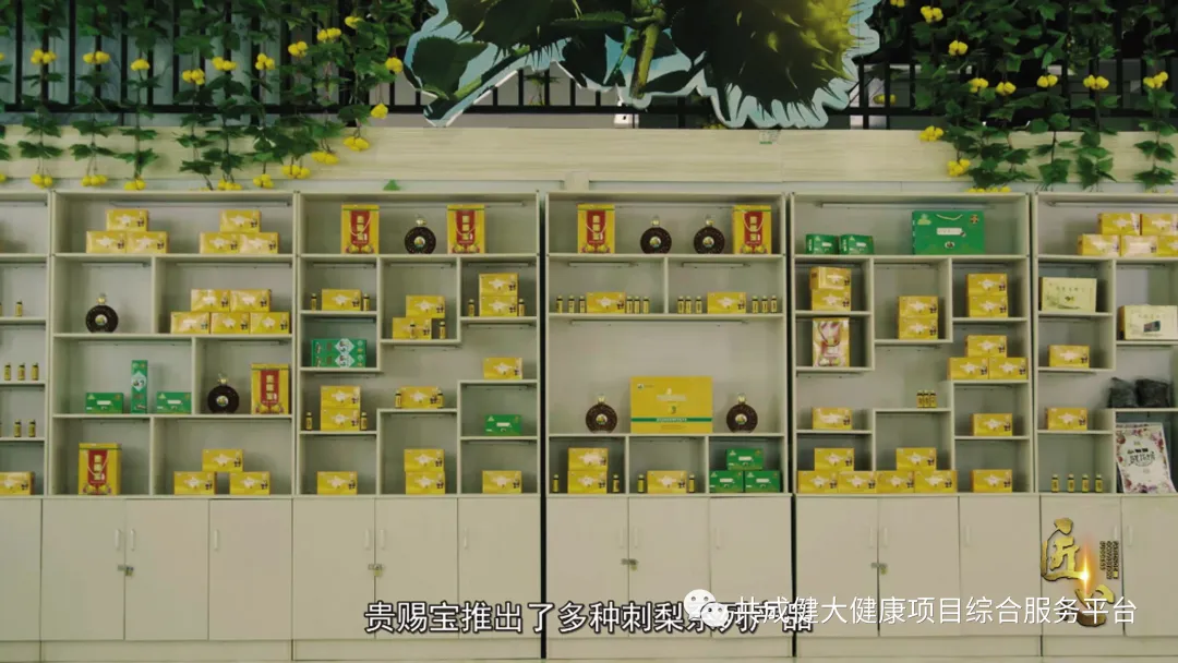 创始人故事6:访“贵赐宝”创始人赵阳权(共成健生物董事长)(pic4) 创始人故事6:阳景霞光悉中华,权典青衫留青史——访贵州共成健生物科技有限公司董事长、“贵赐宝”品牌创始人赵阳权