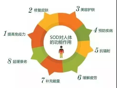 SOD与健康 |SOD对上百种疾病有良好的抑制作用,简直就是“万能药”(pic1) SOD与健康 |SOD对上百种疾病有良好的抑制作用,简直就是“万能药”(pic1)