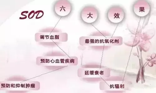 SOD与健康 |SOD对上百种疾病有良好的抑制作用,简直就是“万能药”(pic4) SOD与健康 |SOD对上百种疾病有良好的抑制作用,简直就是“万能药”(pic4)