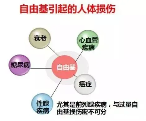 SOD与健康 |SOD对上百种疾病有良好的抑制作用,简直就是“万能药”(pic3) SOD与健康 |SOD对上百种疾病有良好的抑制作用,简直就是“万能药”(pic3)