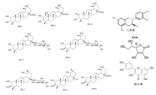 权威报告《贵州刺梨功效研究》:维C之王,抗氧化抗衰老、解酒护肝(pic45) 微信图片_20260821141517_104_43.png