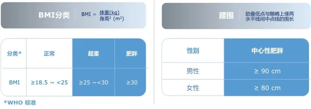 【上海复旦大学药学院】刺梨活性成分抗糖尿病的研究报告！(pic12)