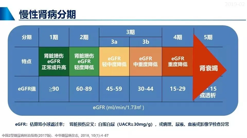 【上海复旦大学药学院】刺梨活性成分抗糖尿病的研究报告！(pic20)