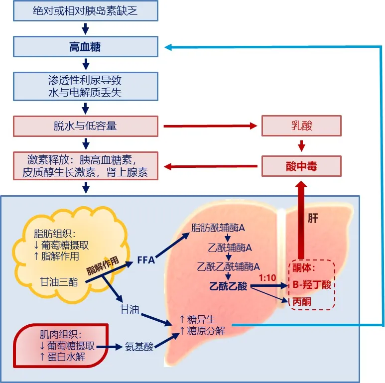 【上海复旦大学药学院】刺梨活性成分抗糖尿病的研究报告！(pic23)