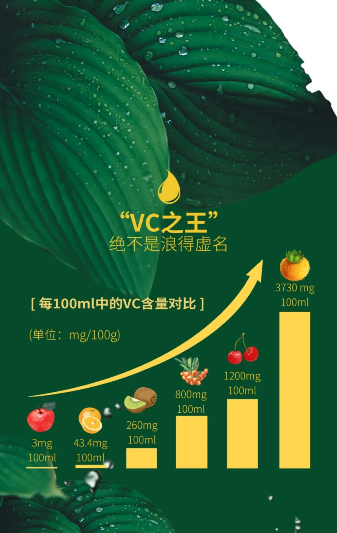 【上海复旦大学药学院】刺梨活性成分抗糖尿病的研究报告！(pic28)