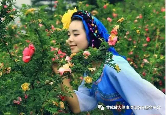 刺梨——来自大自然的关爱(pic10)