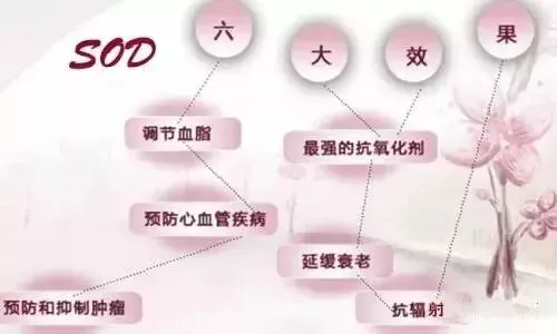 SOD与健康 | SOD常见的10大功效(pic4) SOD与健康 | SOD常见的10大功效(pic4)