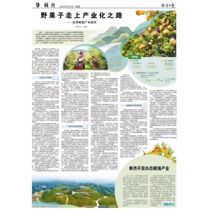 央媒看贵州丨经济日报：野果子走上产业化之路——贵州刺梨产业调查