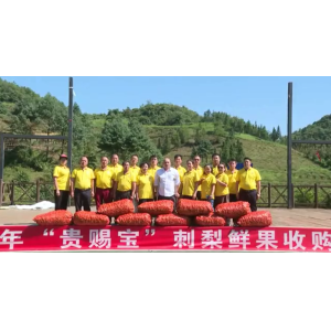 贵赐宝扶贫专项基金助力农户增收