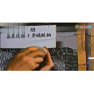 刺梨抗癌-科学家用小白鼠做抗癌实验视频