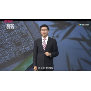 CCTV发现之旅报道贵州的刺梨