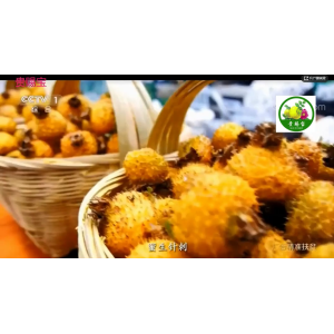 央视1频道为贵州剌梨做广告