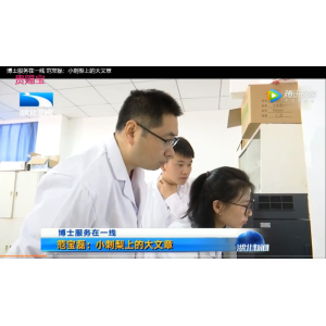 湖北卫视报道：刺利被医学企业作为VC提取的原材料