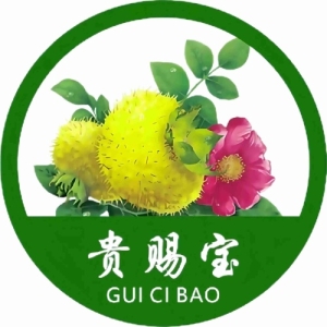 贵赐宝大健康项目综合服务数商平台全面合规整改公示通告