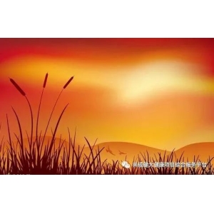 创始人故事1：记我艰苦创业的导师阳权老师