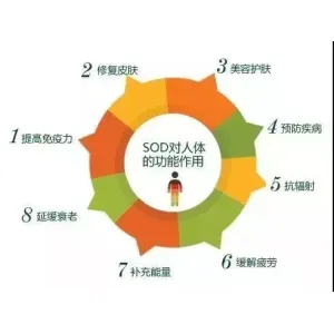 SOD与健康：对上百种疾病有抑制作用，堪称“万能药”