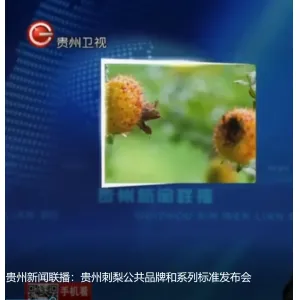 贵州新闻联播：贵州刺梨公共品牌和系列标准发布会