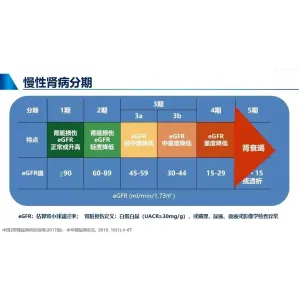 【上海复旦药学院】刺梨活性成分抗各型糖尿病及并发症最新研究报告