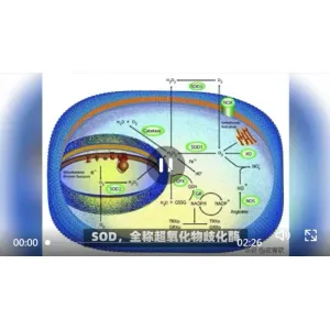 植物界的绿色大熊猫：贵州刺梨VC、VP、SOD解锁营养密码