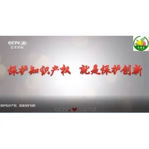贵赐宝乘知识产权证券化东风，贵州刺梨产业奔上市促品牌增值