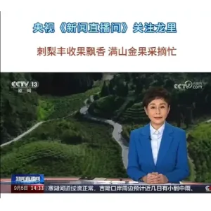 央视聚焦贵州龙里刺梨产业 贵赐宝赋能乡村振兴与大健康