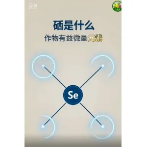 硒是农作物有益的微量元素